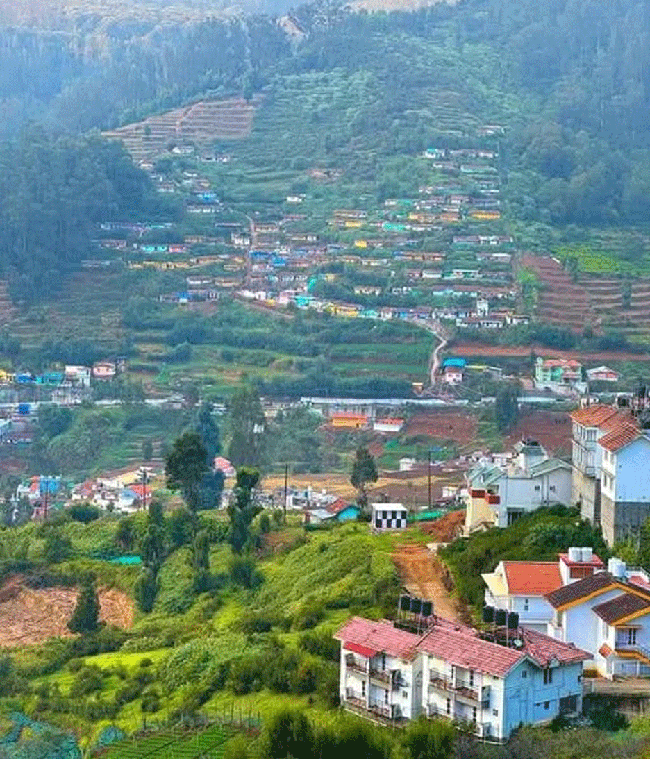 Ooty